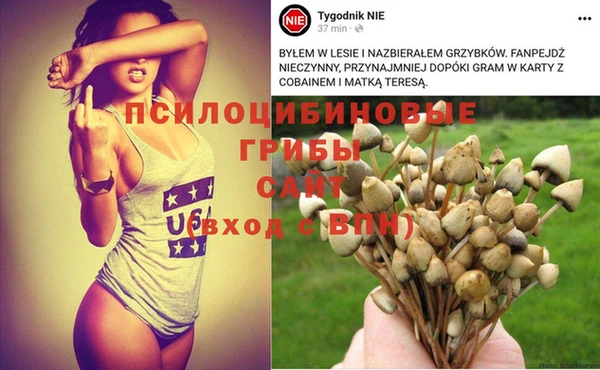 спиды Аркадак