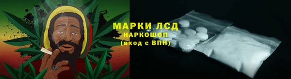 тгк Пестово