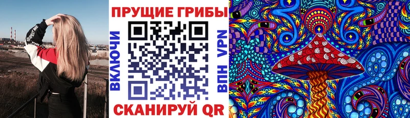 ссылка на мегу   Новозыбков  Галлюциногенные грибы GOLDEN TEACHER 